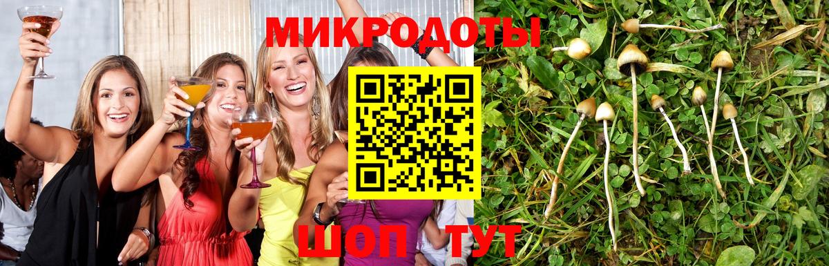 Дивногорск  Галлюциногенные грибы Magic Shrooms  Вход с VPN 